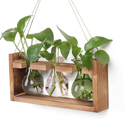 Plant Propagation Station Plant Terrarium Unique Birthday Gifts for Women | Plant Lovers Home Office Decor Planter with Wooden Stand - 3 Bulb Glass Vase