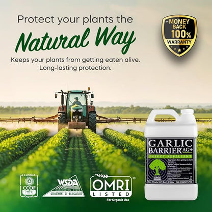 Liquid Garlic Insect Repellent Concentrate, 1 Gallon – OMRI Listed Garlic-Based Formula for Farms, Crops, Gardens & Greenhouses – Indoor & Outdoor Plant Protection