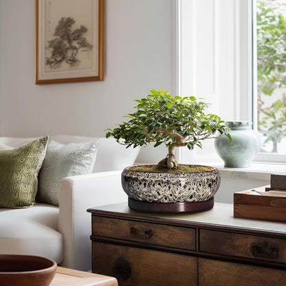 Succulent Pots 10 Inch - Ceramic Bonsai Pots with Drainage Hole and Tray, Large Succulent Planters, Shallow Planter Indoor, Round Planter Bowl, Window Decor, Gifts for Plant Lovers, White