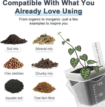 15 Pack 2" Self Watering Pots for Indoor Plants,Mini Clear Plastic Planters with Water Level Indicator & Drainage Holes for Alocasia Propagation, African Violets, Seedlings, Cuttings and Succulents