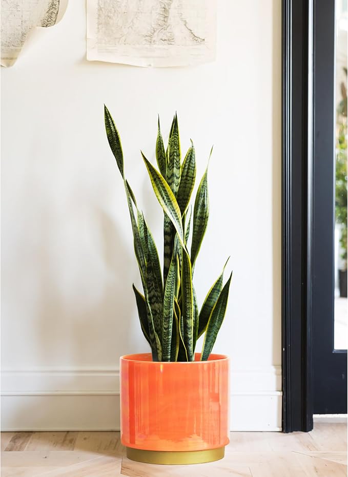 Gepege Peach Indoor Plant Pots for Plants, Large Ceramic Planter with Drainage Hole, 9.6-inch Succulent Orchid Flower Pot - Rainbow Pearl Glaze