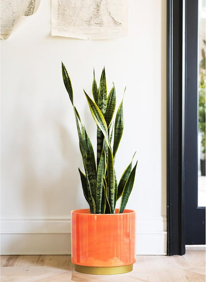 Gepege Peach Indoor Plant Pots for Plants, Large Ceramic Planter with Drainage Hole, 9.6-inch Succulent Orchid Flower Pot - Rainbow Pearl Glaze