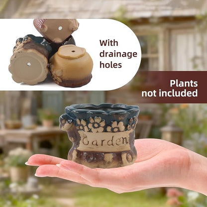 Succulent Ceramic Garden Pots Small Plant Planter Container with Drainage Set of 5 for Home Office Decor
