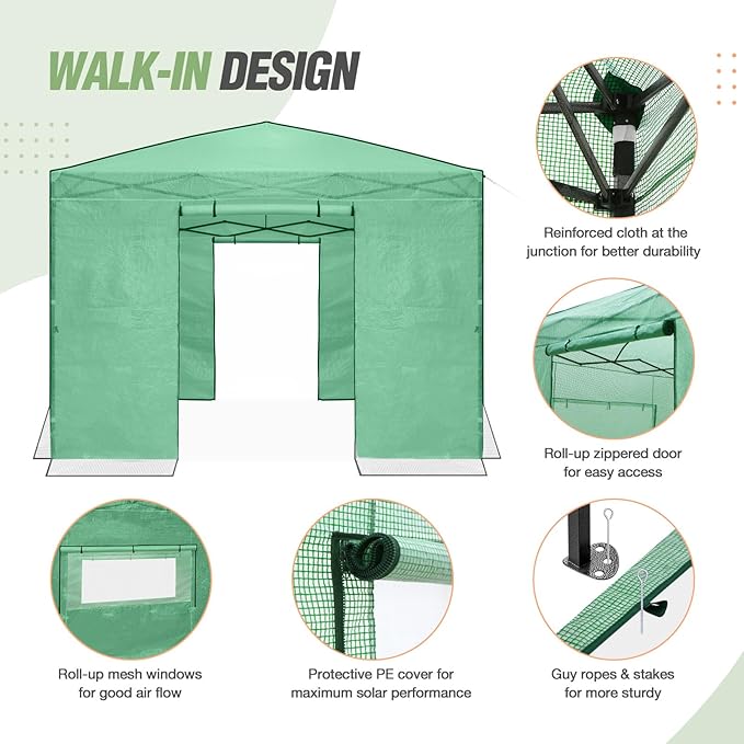 EAGLE PEAK 10x10 Portable Walk in Greenhouse, Pop Up Indoor Outdoor Greenhouse, Green House Kit with Zippered Roll-Up Doors and Windows, PE Cover, Clear/Green