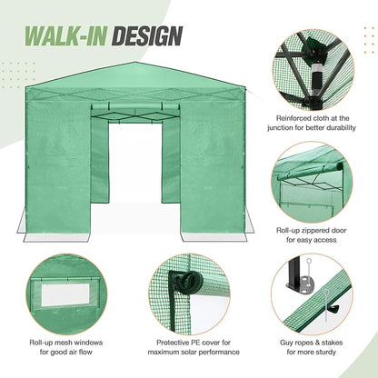 EAGLE PEAK 10x10 Portable Walk in Greenhouse, Pop Up Indoor Outdoor Greenhouse, Green House Kit with Zippered Roll-Up Doors and Windows, PE Cover, Clear/Green