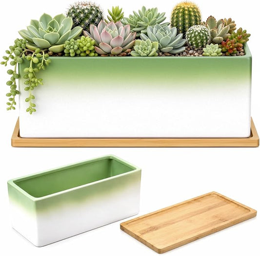 Succulent Pot 12 Inch Large Succulent Planters with Drainage Ceramic Bonsai Pot with Bamboo Tray Rectangle Shallow Planter for Indoor Cactus Flower Planter Window Box for Home Garden Decor (Green)