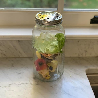 Jarware Mason Jar Lid, Stainless Steel Compost Lid For Wide Mouth Mason Jars, With 4 Charcoal Filters