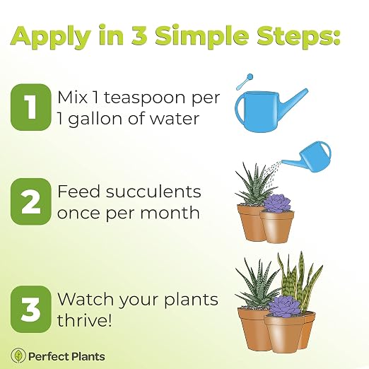 Perfect Plants Liquid Cactus & Succulent Fertilizer 8oz. | Food for Live Succulents, Cacti, Aloe & More | Indoor and Outdoor Use with Every Watering