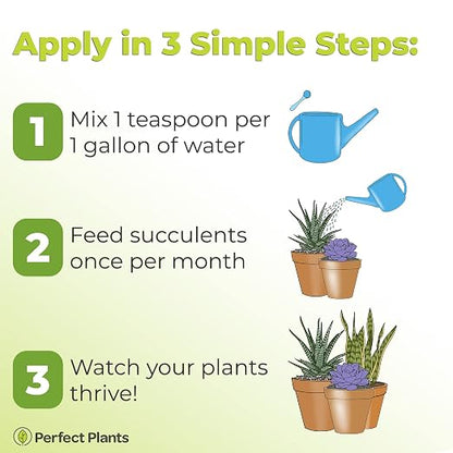 Perfect Plants Liquid Cactus & Succulent Fertilizer 8oz. | Food for Live Succulents, Cacti, Aloe & More | Indoor and Outdoor Use with Every Watering
