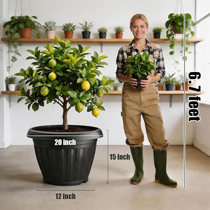 RooTrimmer 20 Inch Large Plant Pots Outdoor,Heavy Duty Plastic Planters with Drainage Holes,Black Flower Pots for Patio Porch Garden Indoor Outdoor Plants,Trees & Palms(5 Pack)