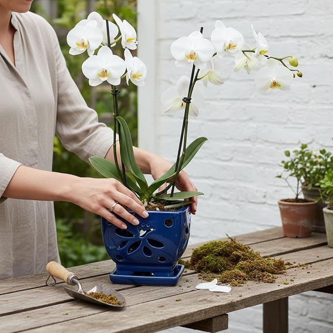 Orchid Pots with Holes Square Ceramic Orchid Planter Pots 5.7 inch (Blue)