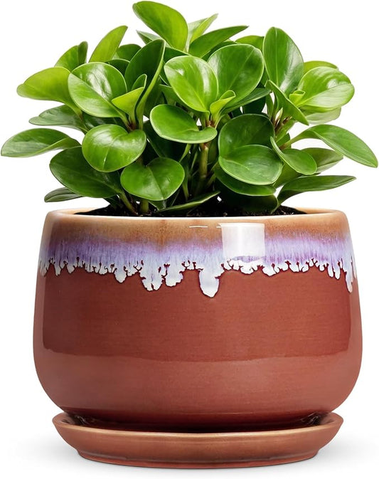 Ceramic Plant Pot - 6 Inch Planters for Indoor Plants, Round Ceramic Planter with Drainage Hole and Saucer, Decorative Small Plant Pots, Room Bookshelf Decor, Red-Purple