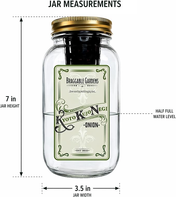 Kyoto Kujo Negi Japanese Green Onion Indoor Garden Kit | Mason Jar Hydroponic, Windowsill Countertop, Grow Fresh Green Onions Indoors