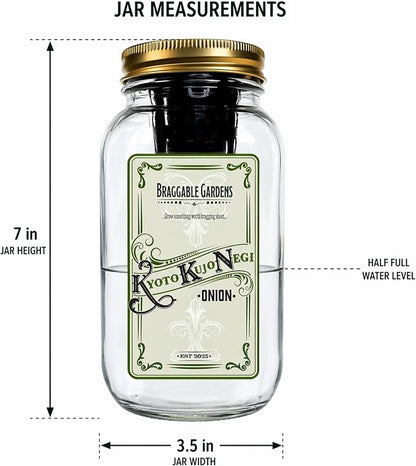 Kyoto Kujo Negi Japanese Green Onion Indoor Garden Kit | Mason Jar Hydroponic, Windowsill Countertop, Grow Fresh Green Onions Indoors