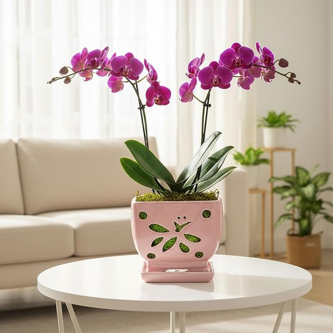 Orchid Pots with Holes Square Ceramic Orchid Planter Pots 5.5 inch (Pink)