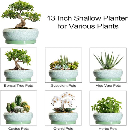 Bonsai Pots - 13 Inch Ceramic Succulent Pots for Indoor Outdoor, Large Shallow Planter with Drainage Hole and Saucer, Round Flower Succulent Planter, Patio Decor, Gifts for Women, Green