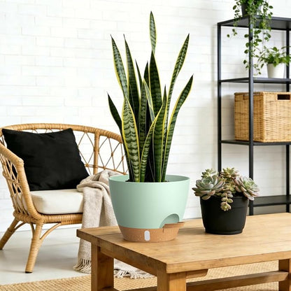 Self Watering Pots with Drainage Holes, 3 Pack 12/10/8 Inch Plant Pots with Water Level Indicator Deep Reservoir, Large Plastic Planter for Indoor Outdoor Plants - Green Brown