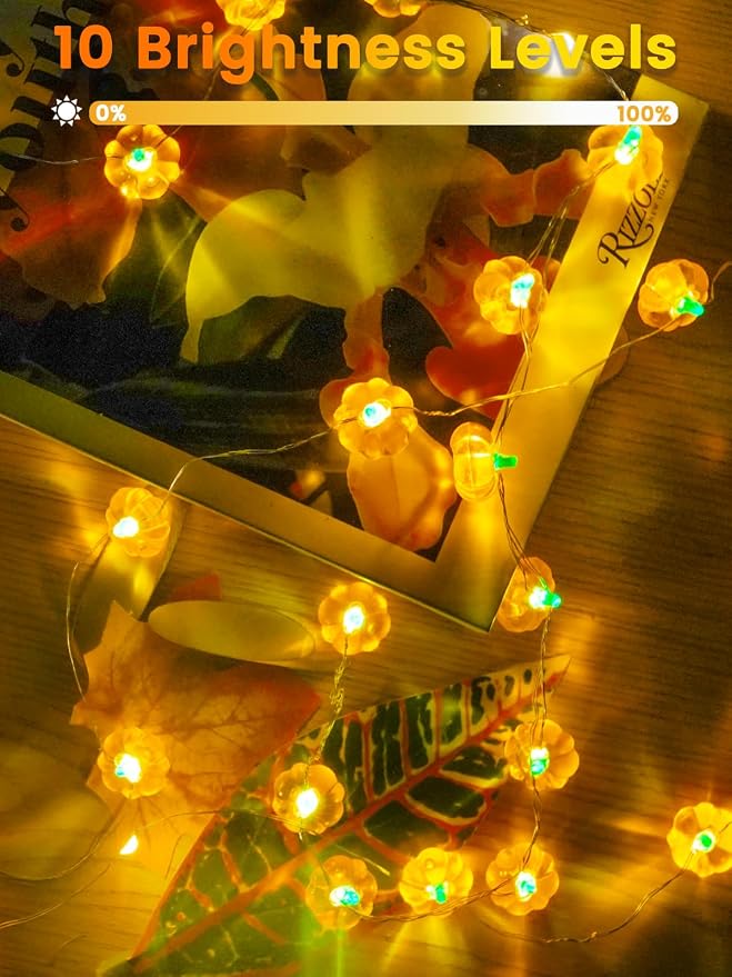 2 Pack 60LED Fall Decorations 3D Pumpkin String Lights Battery Operated, 20FT Orange Fall Lights with Remote & Timer, Waterproof 8 Modes Fairy Twinkle Light for Harvest Thanksgiving Halloween Decor