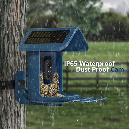 Bird Feeder with Camera Solar Powered : Smart Camera Bird Feeder 2K Live Feed Cam for Outdoor Backyard - Ai Identify Auto Capture Videos Pictures, Gifts for Birdlover Mom Dad, 2.4GHz WiFi
