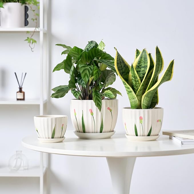 STHIE 4/5/6 Inches Ceramic Plant Pots with Drainage Holes and Saucers, Round Flower Pots for Indoor Plant, Small Flower Planters Set of 3 (White Floral-Big Size)