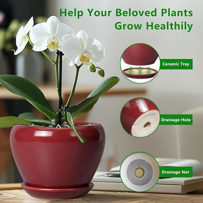 Ceramicfor Ceramic Pot for Plants - 6 Inch Plant Pot Indoor with Drainage Hole and Saucer Succulent Outdoor Planter Round Flower Pot for House Patio Decor Red