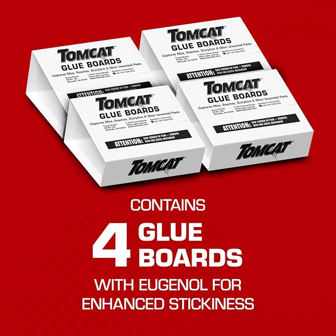 Tomcat Glue Boards with Eugenol for Enhanced Stickiness, 4 Boards | Sticky Traps for Mice, Cockroaches & Insects, Flat or Covered Use, Ready-To-Use