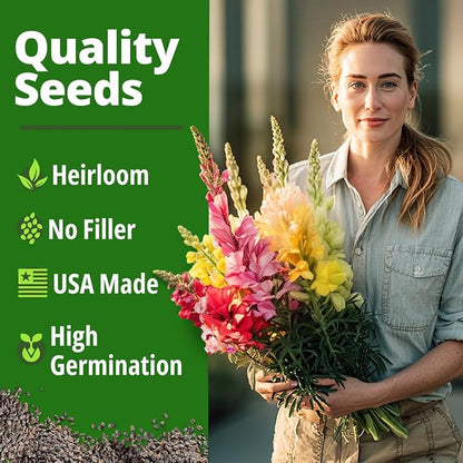 HOME GROWN Snapdragon Seeds Tetra (0.3g) – 2000 Tall Flower Seeds to Plant Outside - Vibrant Perennial Snapdragons Mixed Colors - Cut Flower Seeds for Gardens, Borders, Bouquets (Antirrhinum majus)