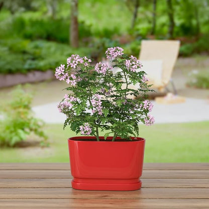 8.9" Rectangular Ceramic Planter with Drainage and Saucer, Red | Indoor Outdoor Use, 8.9"L x 4.5"W x 5.3"H, Modern Home Decor, Window Box Planter, Red Glossy Finish