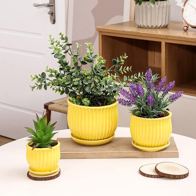 Yellow Ceramic Flower Pots with Saucers, Modern Round Ceramic Succulent Plant Pots with Stripe Texture, Small to Medium Sized, Set of 3