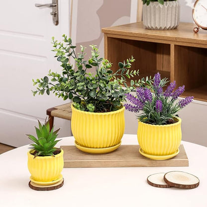 Yellow Ceramic Flower Pots with Saucers, Modern Round Ceramic Succulent Plant Pots with Stripe Texture, Small to Medium Sized, Set of 3