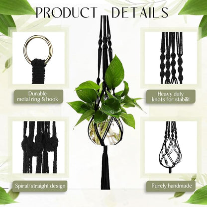 Colingmill 6 Pcs Plastic Plant Propagation with Boho Macrame Hanger Wall Plant Propagation Station Hanging Holder Include Hooks Kit for Indoor Home Garden Office Decor 3 Size (Black)