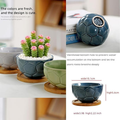 YYW Ceramic Succulent Planter, 4 Pack Cute Garden Pots with Drainage and Attached Saucer