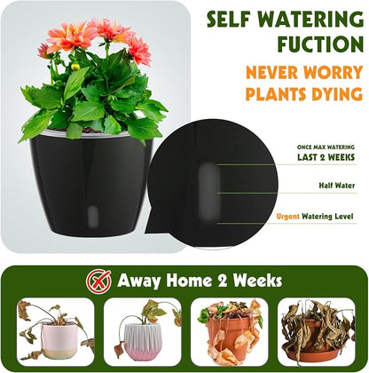 Self-Watering Pots for Indoor Plants, 6-Pack 6.7'' Self Watering Planter with Drainage Holes, Small African Violet Pots with Water Indicator, Clear Wick Pot, Black