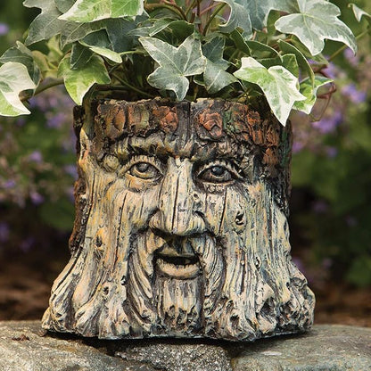 Bits and Pieces - Tree Face Garden Planter - Durable Polyresin Indoor-Outdoor Urn for Plants - Forest Inspired Whimsical Garden Décor