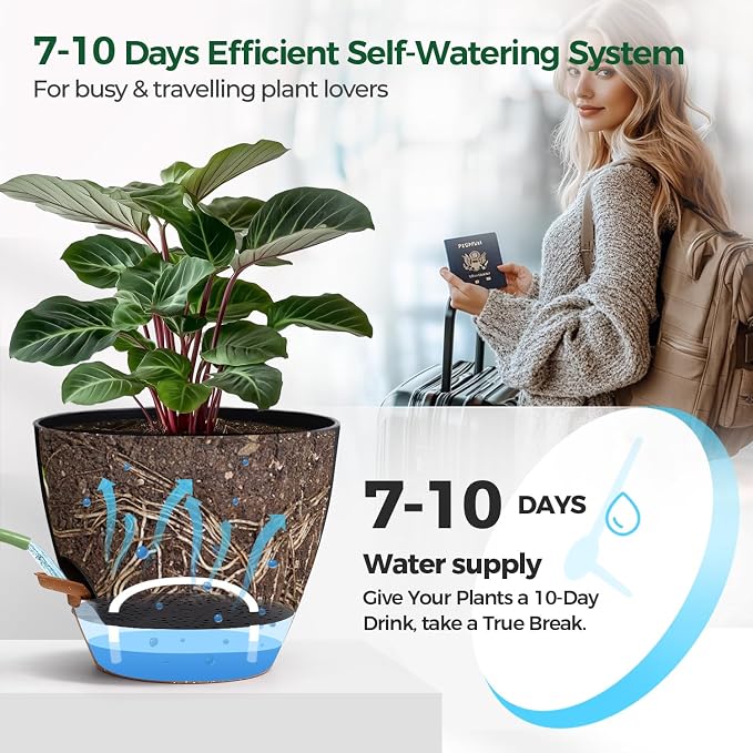 T4U 2 Pack 8 Inch Self Watering Pots - Water Level Indicator & Deep Reservoir, Mess-Free Planter for Busy People, Beginners & Gardeners, Pothos/Herbs/Snake Plants, Indoor Outdoor Use (Black)