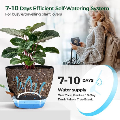 T4U 2 Pack 8 Inch Self Watering Pots - Water Level Indicator & Deep Reservoir, Mess-Free Planter for Busy People, Beginners & Gardeners, Pothos/Herbs/Snake Plants, Indoor Outdoor Use (Black)