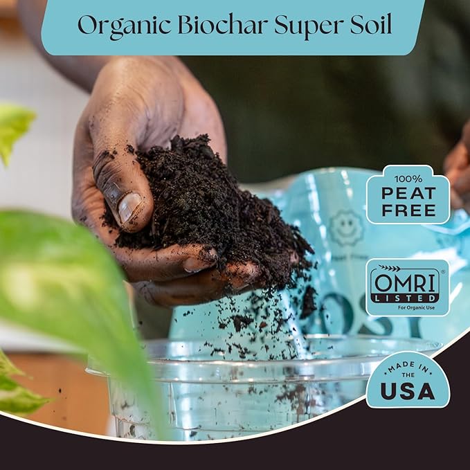 Rosy Soil Houseplant Potting Soil, 8 Quarts, Pack of 2 | Organic Indoor Potting Mix with Biochar and Worm Castings, For Monstera, Pothos, Tropical Indoor Plants, Peat Free