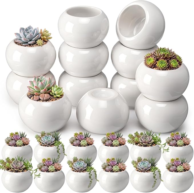 24 Pack 2.5 Inch Mini Succulent Plant Ceramic Pot with Drainage Hole, Small Pineapple Clay Garden Planter for Succulents, Cactus, DIY Easter Spring Craft Activity(White,Classic)