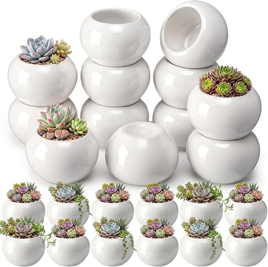 24 Pack 2.5 Inch Mini Succulent Plant Ceramic Pot with Drainage Hole, Small Pineapple Clay Garden Planter for Succulents, Cactus, DIY Easter Spring Craft Activity(White,Classic)