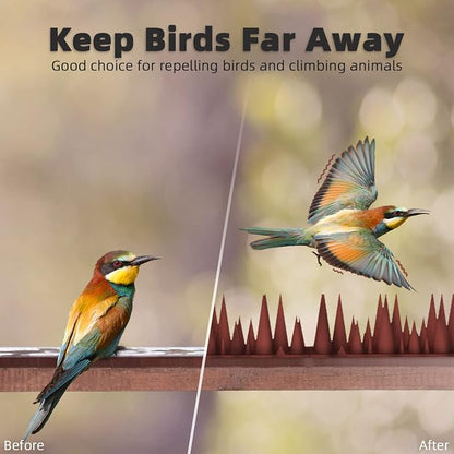 Bird Spike Strips for Outdoor Surfaces with Adhesive Strips (8, Black)