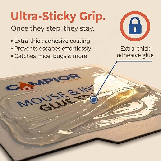 Campior Glue Traps [36 Pack] Pre-Baited Mouse Traps - Ultra-Adhesive Glue Boards for Rodents/Mice, Rats/Snakes/Lizards/Insects - Safe Non-Toxic Sticky Mouse Traps Indoors for Home Office, Garage.