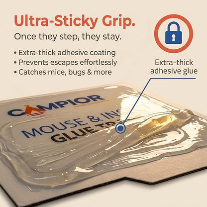 Campior Glue Traps [36 Pack] Pre-Baited Mouse Traps - Ultra-Adhesive Glue Boards for Rodents/Mice, Rats/Snakes/Lizards/Insects - Safe Non-Toxic Sticky Mouse Traps Indoors for Home Office, Garage.