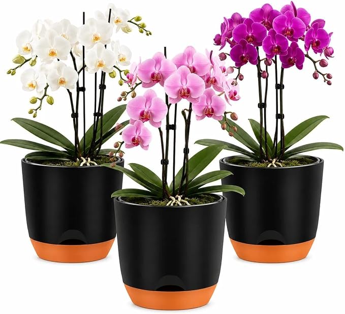 QCQHDU 5.7Inch Orchid Pots with Holes for Repotting, Double-Layer Plastic Self Watering Flower Pots for Indoor Plants with Drainage Holes, Clear Orchid Pot Match Decorative Orchid Container, 3 Packs