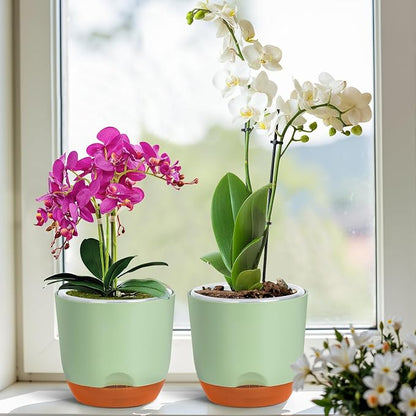 QCQHDU 7.2Inch Orchid Pots with Holes for Repotting, Double-Layer Plastic Self Watering Flower Pots for Indoor Plants with Drainage Holes, Clear Orchid Pot Match Decorative Orchid Container, 3 Packs
