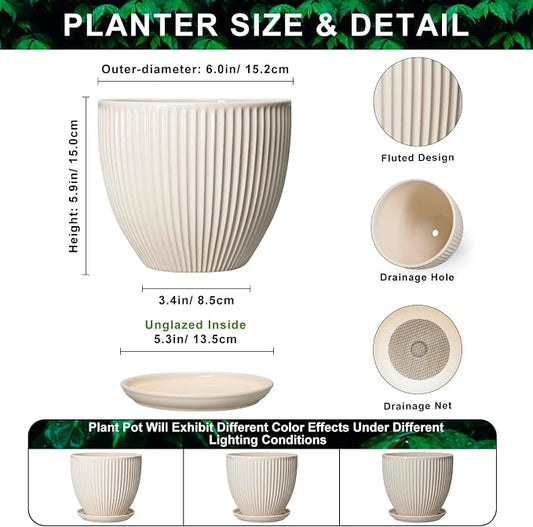 6 Inch Planter, Ceramic Pots for Plants Indoor, Decorative Plant Pots with Drainage Hole and Saucer, Round Flower Pot, Modern Small Planter, Office Decor, Gifts for Plant Lovers, Cream White