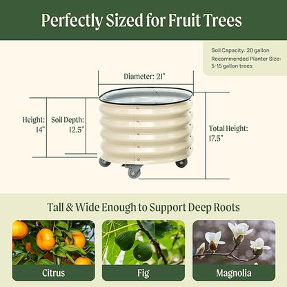 Rolling Metal Citrus Tree Planter Pot, 21″ Round Planter Box for Porch Patio & Backyard, 20 Gallon Large Planter Pot with Wheels for Growing Olive Trees Tomatoes Vegetables Flowers, 2 Pack Pearl White