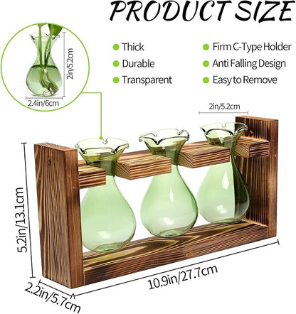 Plant Propagation Station Plant Terrarium Unique Birthday Gifts for Women | Plant Lovers Home Office Decor Planter with Wooden Stand - 3 Bulb Glass Vase