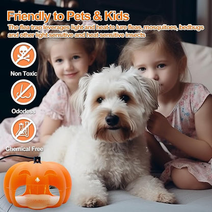 Flea Traps for Inside Your Home with Light, Flea Light Trap for Bug USB Charing Insect Pest Control Traps for Kitchen, Living Room, Balcony and Bedroom