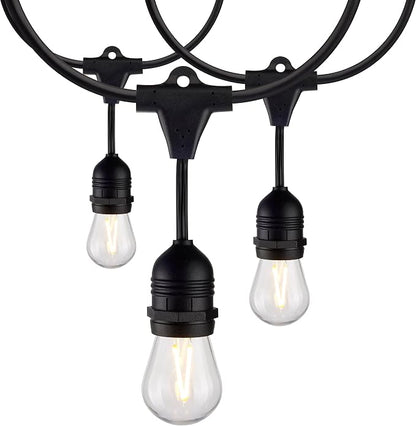 Satco S8030 LED Indoor/Outdoor String Lights, Black, S14 Bulbs, 24 Feet (Pack of 1)