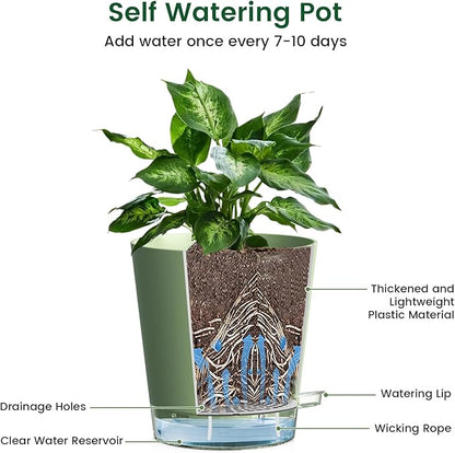 Meowell 8 inch Self Watering Pots for Indoor Outdoor Plants, 2 Pack Flower Plant Pots with Drainage Holes & Clear Reservoir for Visible Water Level, Plastic Wicking Planters for House Plants, Green